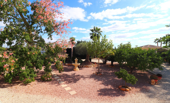 Resale - 7. Finca / Country property - Orihuela - Costa Blanca South