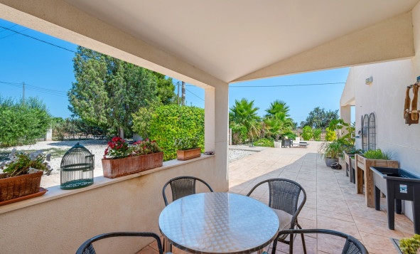 Resale - 7. Finca / Country property - Elche - Costa Blanca South