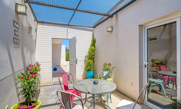 Resale - 7. Finca / Country property - Elche - Costa Blanca South