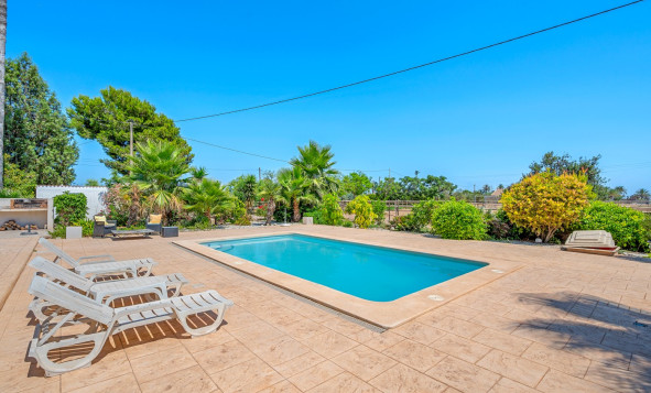 Resale - 7. Finca / Country property - Elche - Costa Blanca South