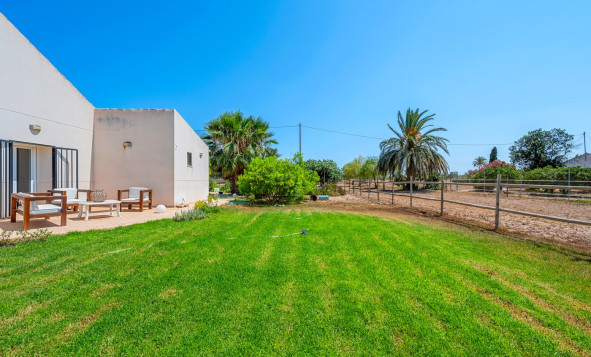 Resale - 7. Finca / Country property - Elche - Costa Blanca South