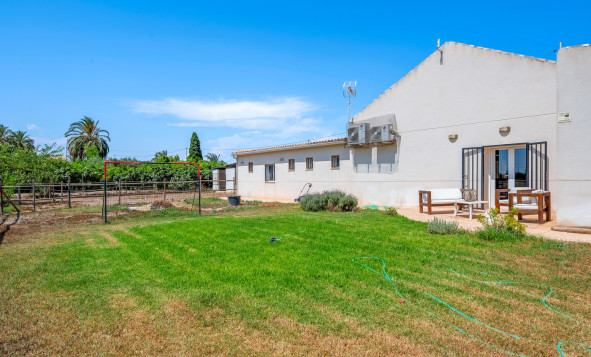 Resale - 7. Finca / Country property - Elche - Costa Blanca South