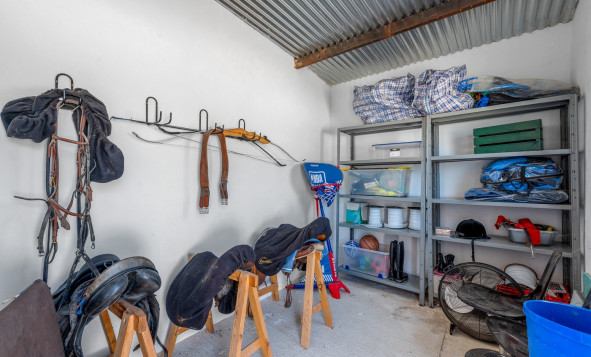 Resale - 7. Finca / Country property - Elche - Costa Blanca South