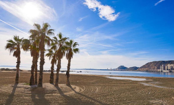 New build - 3. Semi-detached house - Els Poblets - Costa Blanca North