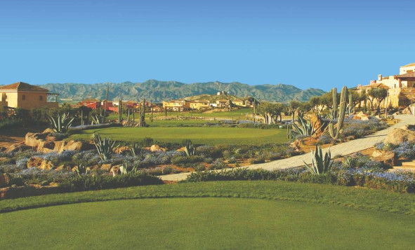 Reventa - 3. Casa pareada - Cuevas Del Almanzora - Almeria