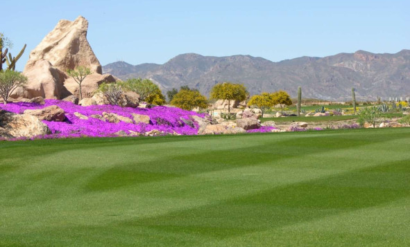 Reventa - 3. Casa pareada - Cuevas Del Almanzora - Almeria