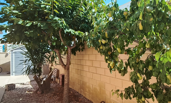 Resale - 6. Detached villa - La Romana - Costa Blanca North