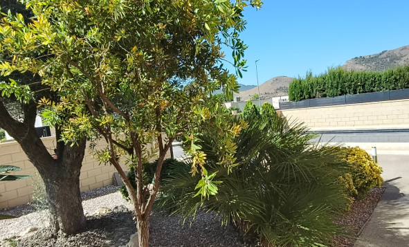 Resale - 6. Detached villa - La Romana - Costa Blanca North