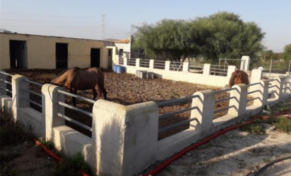 Herverkoop - 3. Halfvrijstaand huis - La Mata - Costa Blanca Zuid