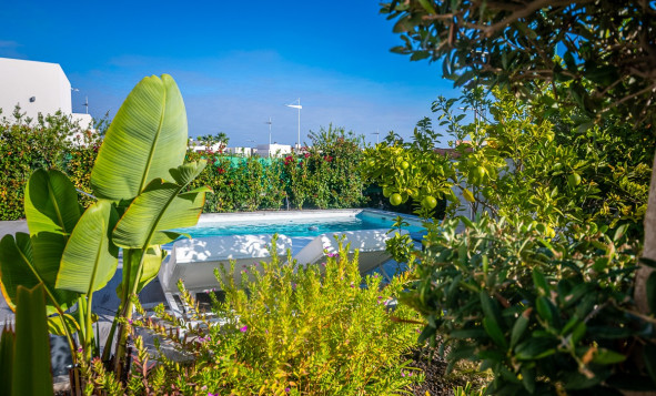 Herverkoop - 3. Halfvrijstaand huis - Algorfa - Costa Blanca Zuid