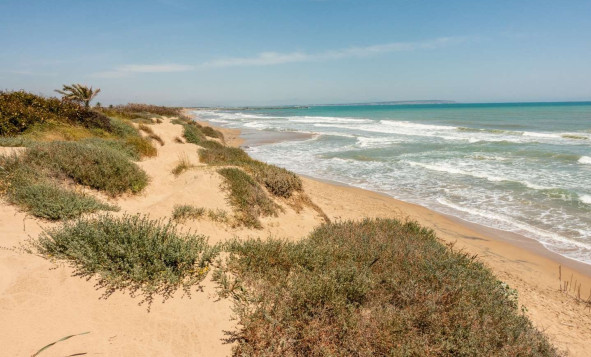 Nieuwbouw woningen - 1. Appartement / flat - Guardamar del Segura - Costa Blanca Zuid