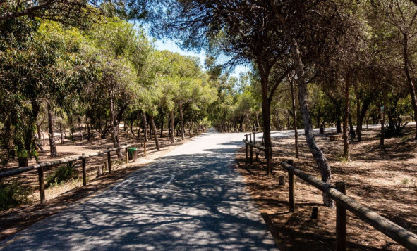 Nieuwbouw woningen - 1. Appartement / flat - Guardamar del Segura - Costa Blanca Zuid