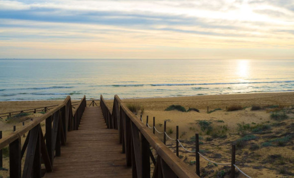 Obra nueva - 1. Apartamento / piso - Guardamar del Segura - Costa Blanca Sur