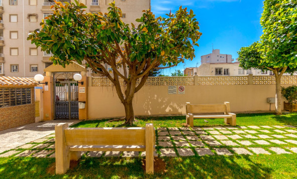 Herverkoop - 1. Appartement / flat - Torrevieja - Costa Blanca Zuid