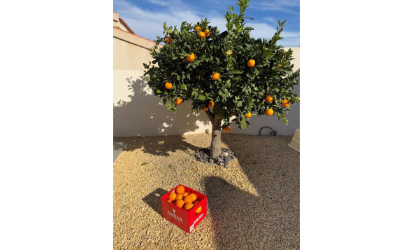 Herverkoop - 3. Halfvrijstaand huis - Ciudad Quesada - La Marquesa