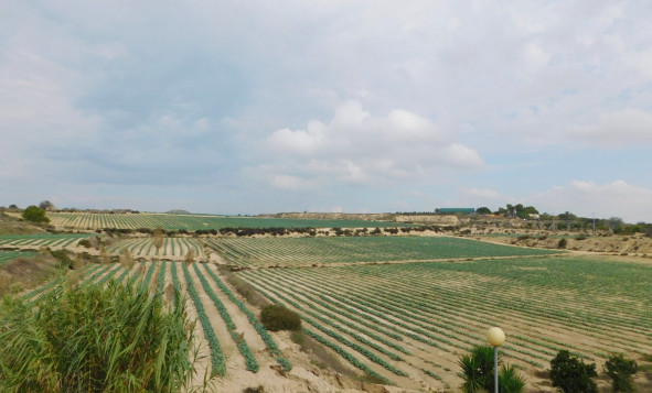 Herverkoop - 3. Halfvrijstaand huis - San Miguel de Salinas - Costa Blanca Zuid