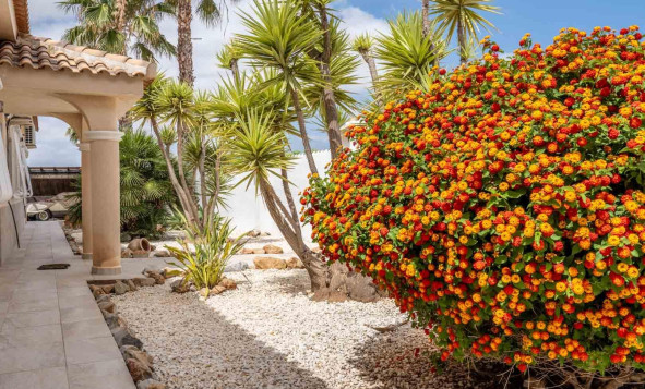 Herverkoop - 3. Halfvrijstaand huis - Lo Santiago, - Costa Calida