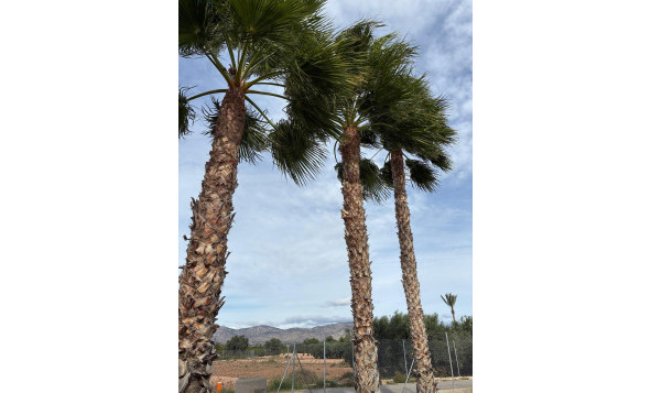 Herverkoop - 3. Halfvrijstaand huis - Crevillente - Costa Blanca Zuid