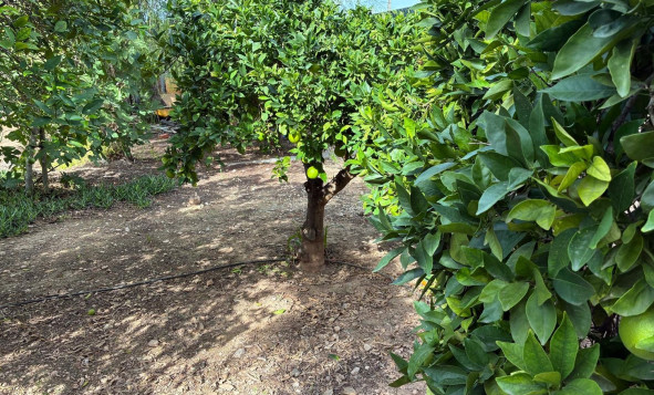 Herverkoop - 3. Halfvrijstaand huis - Crevillente - Costa Blanca Zuid