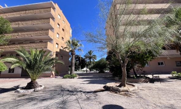 Herverkoop - 1. Appartement / flat - La Mata - Costa Blanca Zuid