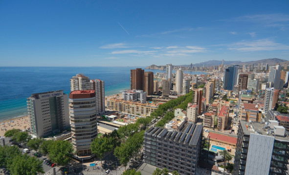 Herverkoop - 1. Appartement / flat - Benidorm - Benidorm - City