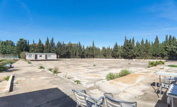 Reventa - 7. Finca - Los Montesinos - Costa Blanca Sur