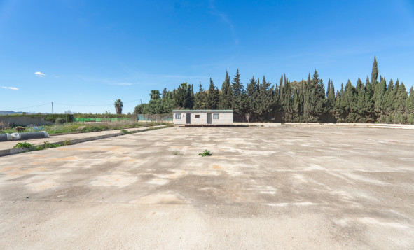 Reventa - 7. Finca - Los Montesinos - Costa Blanca Sur