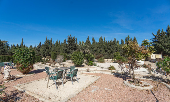 Reventa - 7. Finca - Los Montesinos - Costa Blanca Sur