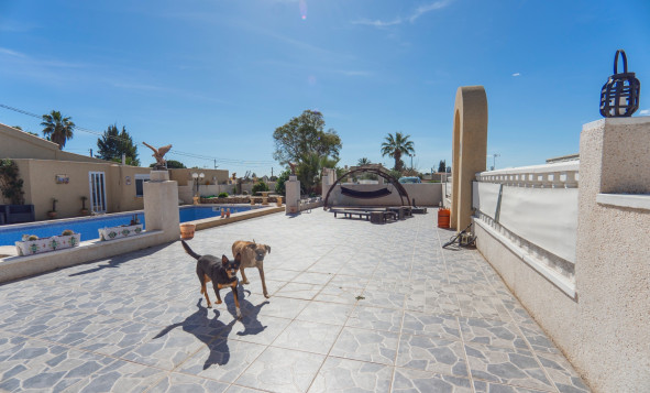 Reventa - 7. Finca - Los Montesinos - Costa Blanca Sur