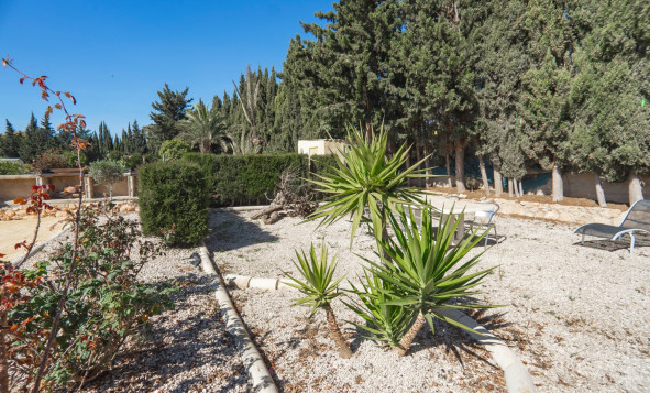 Reventa - 7. Finca - Los Montesinos - Costa Blanca Sur