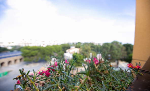 Resale - 1. Apartment / flat - La Zenia - Costa Blanca South