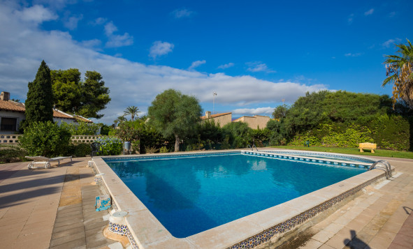 Herverkoop - 1. Appartement / flat - Punta Prima - Costa Blanca Zuid