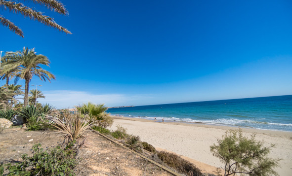 Herverkoop - 1. Appartement / flat - Mil Palmeras - Costa Blanca Zuid