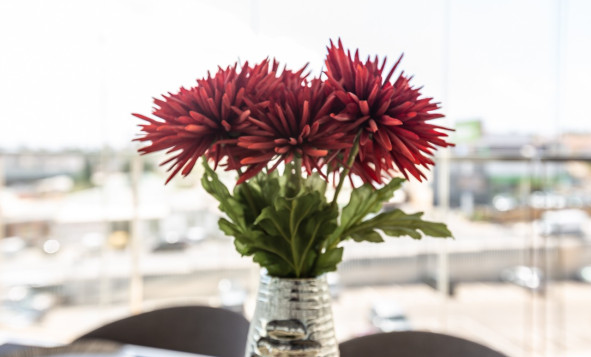 Herverkoop - 1. Appartement / flat - Villamartin - Costa Blanca Zuid