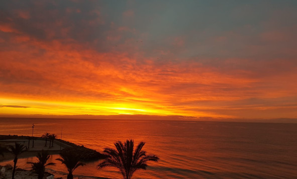 Herverkoop - 1. Appartement / flat - Torrevieja - Costa Blanca Zuid