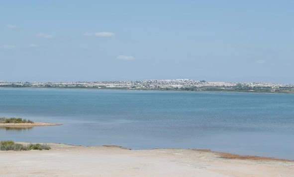 Resale - 1. Apartment / flat - La Mata - Costa Blanca South