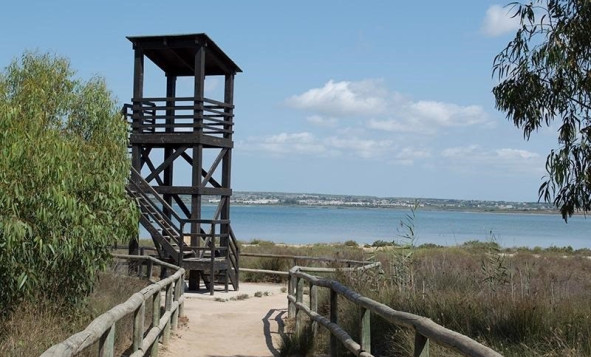 Resale - 1. Apartment / flat - La Mata - Costa Blanca South