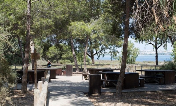 Resale - 1. Apartment / flat - La Mata - Costa Blanca South