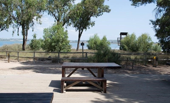 Resale - 1. Apartment / flat - La Mata - Costa Blanca South