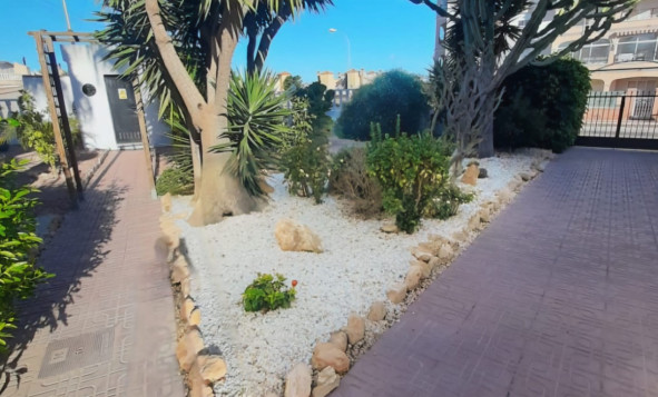 Herverkoop - 1. Appartement / flat - Playa Flamenca - Costa Blanca Zuid