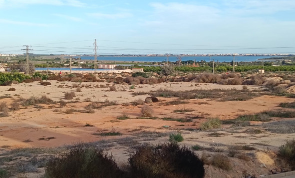 Resale - 3. Semi-detached house - Los Montesinos - Costa Blanca South