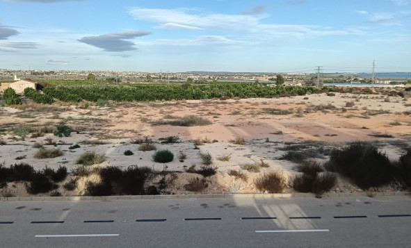 Resale - 3. Semi-detached house - Los Montesinos - Costa Blanca South