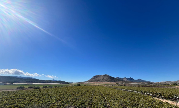 Herverkoop - Bouwgrond - La Romana - Costa Blanca Noord