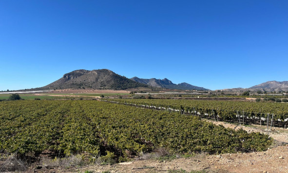 Herverkoop - Bouwgrond - La Romana - Costa Blanca Noord