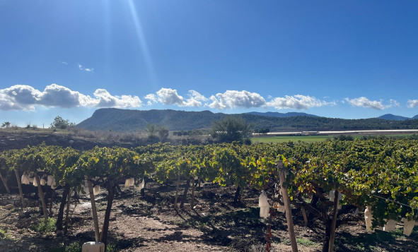 Herverkoop - Bouwgrond - La Romana - Costa Blanca Noord