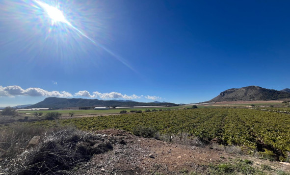 Herverkoop - Bouwgrond - La Romana - Costa Blanca Noord