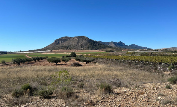Herverkoop - Bouwgrond - La Romana - Costa Blanca Noord