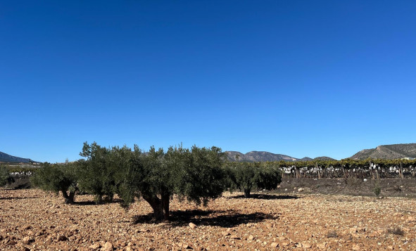 Herverkoop - Bouwgrond - La Romana - Costa Blanca Noord