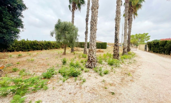 Reventa - 7. Finca - Daya Vieja - Costa Blanca Sur