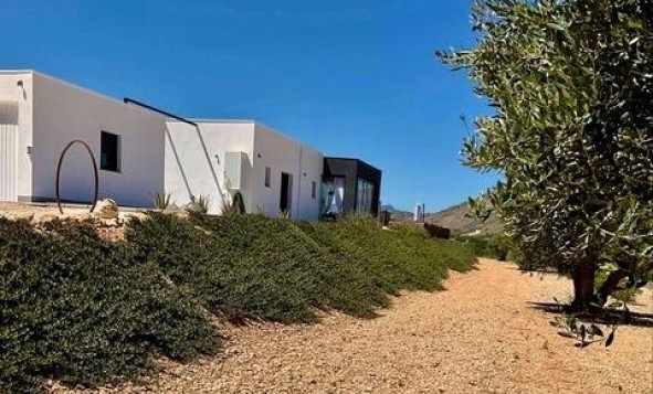 Nieuwbouw Woningen - 4. House - Detached Villa - Jumilla - Pinoso